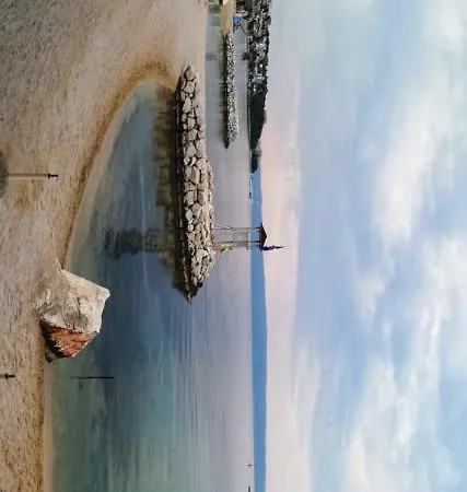 Dalmatian Sea Star * Split