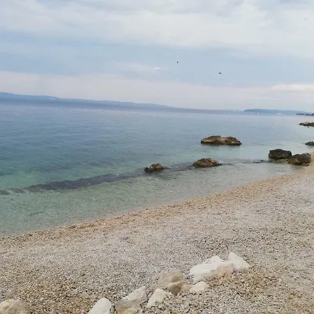 Apartment Dalmatian Sea Star *