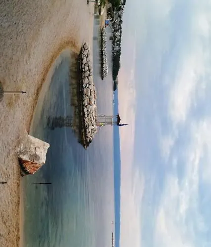 Dalmatian Sea Star * 斯普利特