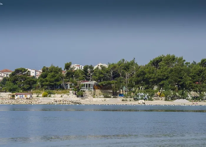 Dalmatian Sea Star 斯普利特