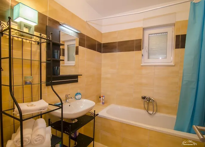 Dalmatian Sea Star * 斯普利特