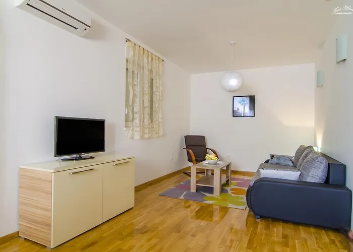 Dalmatian Sea Star 斯普利特