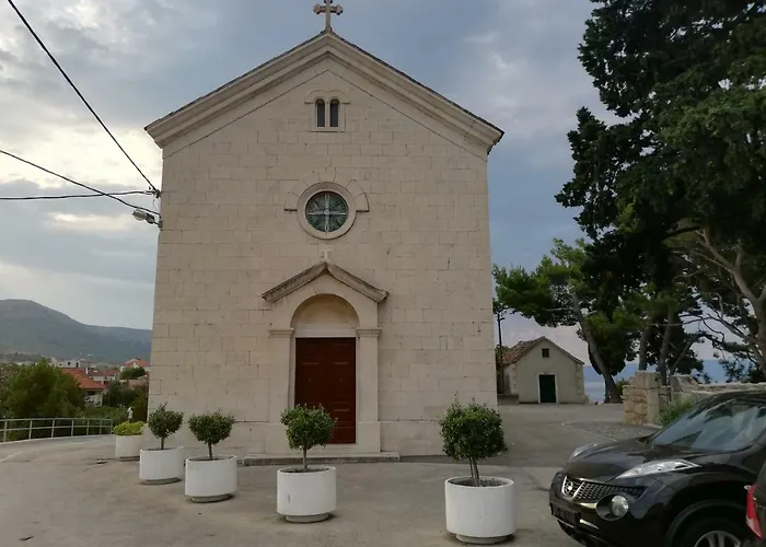 Dalmatian Sea Star * 斯普利特