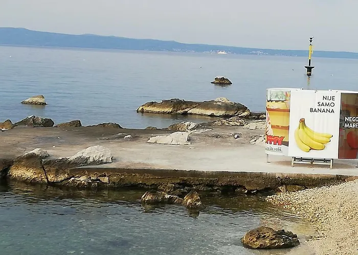 Dalmatian Sea Star 斯普利特